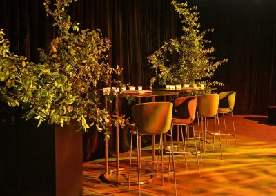 Interior venue decor at the Paspaley Megisti Collection launch