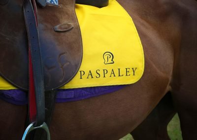 Close up horse saddle Paspaley Polo in the City Series Australia